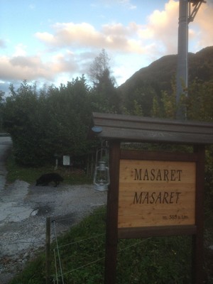 The entrance