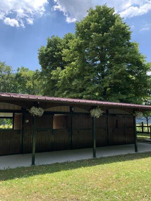 Foto Außenansicht Ferienwohnungen auf dem Bauernhof Pradileva