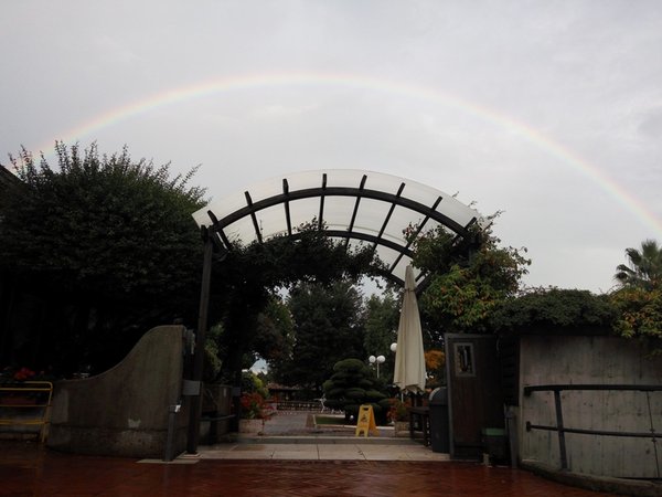 Foto del giardino Fanna (Piancavallo e Dolomiti Friulane)