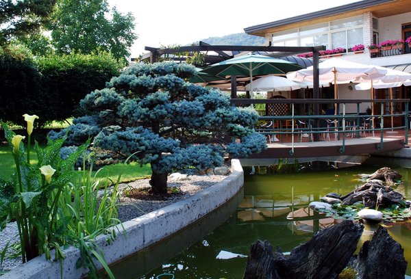 Foto del giardino Fanna (Piancavallo e Dolomiti Friulane)