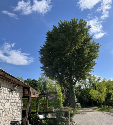 Foto vom Garten Budoia