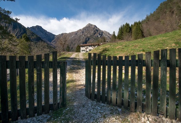 Bildergalerie