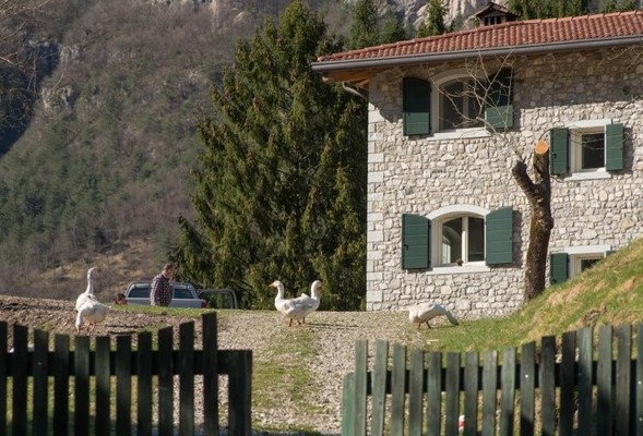 Foto Außenansicht B&B auf dem Bauernhof Borgo Titol