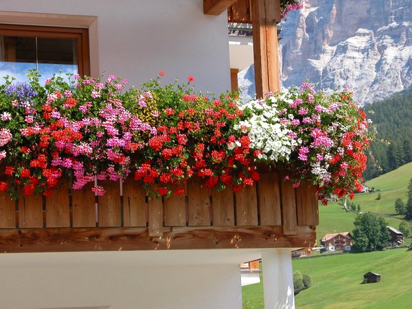Photo of the balcony Ciasa Sanvi