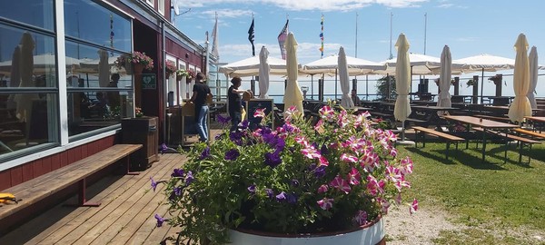 Foto della terrazza