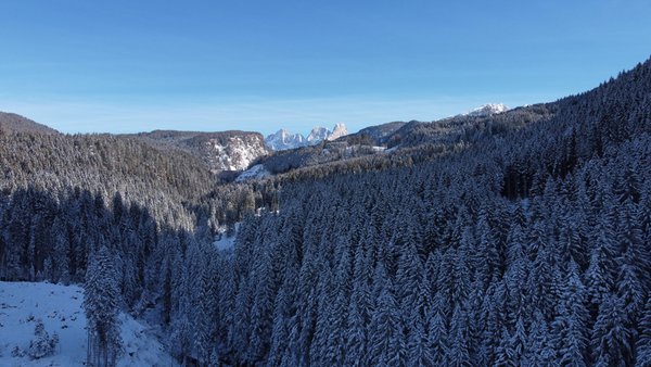 Aussicht Predazzo