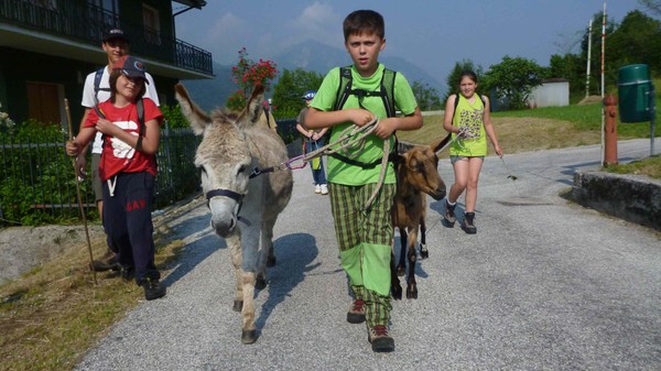 Attività Alpi Friulane