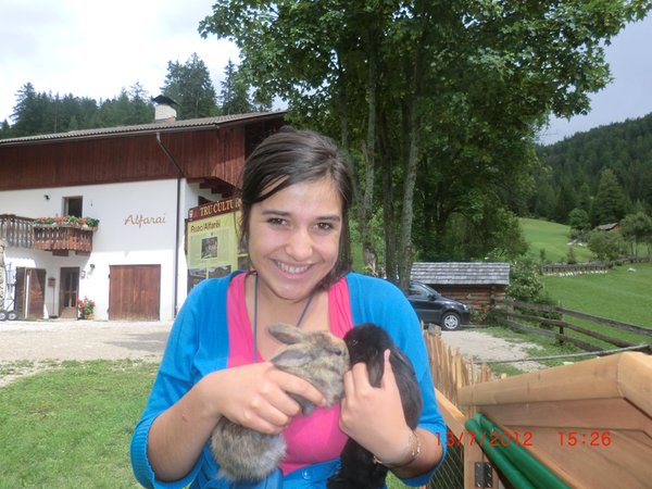 Foto degli animali
