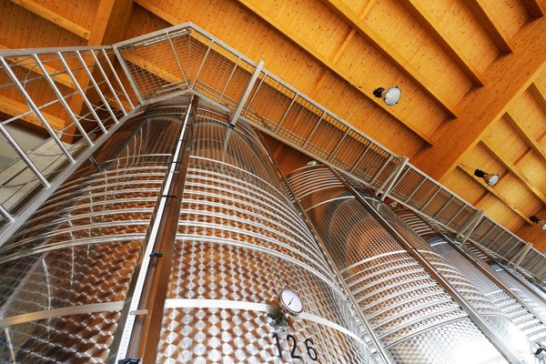 La cantina dei vini Sequals (Piancavallo e Dolomiti Friulane) Fernanda Cappello