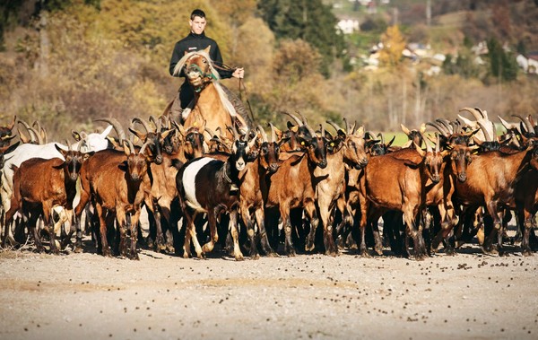 Bram's Ranch - Maneggio Paularo (Carnia)