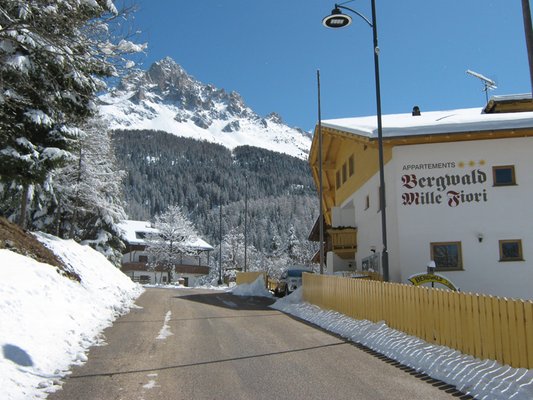 Winter Präsentationsbild Ferienwohnungen Bergwald Mille Fiori