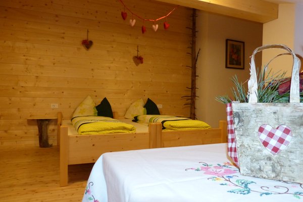 Photo of the room Mountain Hut-Hotel Lyfi Alm