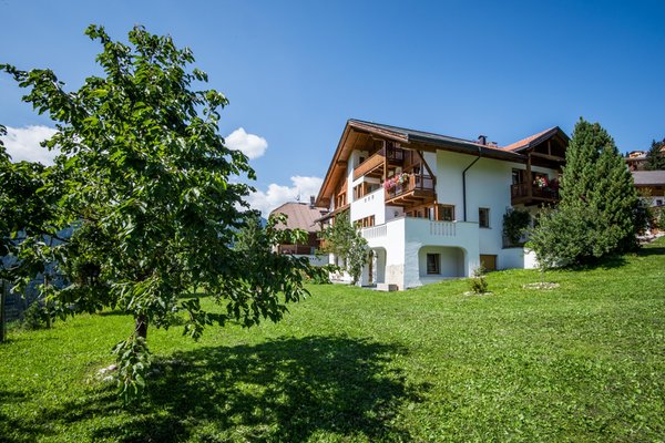 Foto Außenansicht im Sommer Apartments Tino