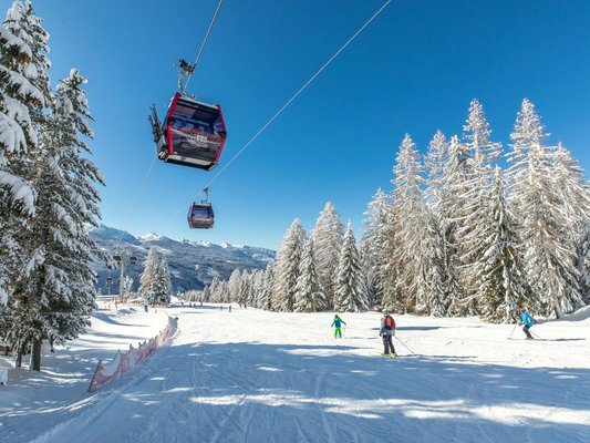 Presentation Photo Ski resort Bellamonte-Alpe Lusia