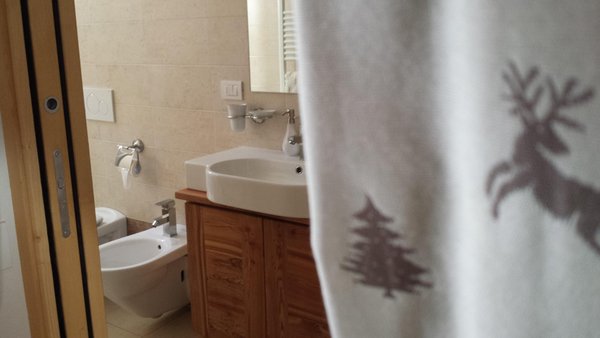 Foto del bagno Affittacamere Stella di Campo