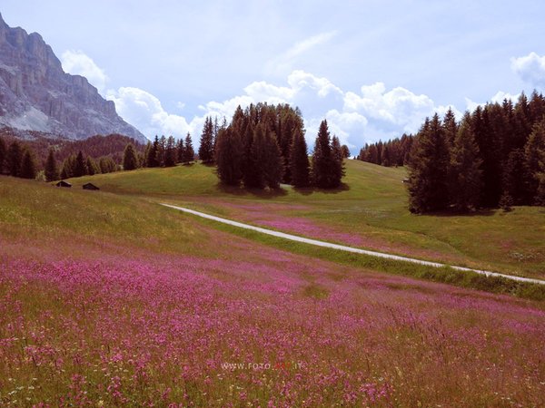 Bildergalerie Sommer