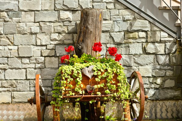 Bildergalerie Sommer