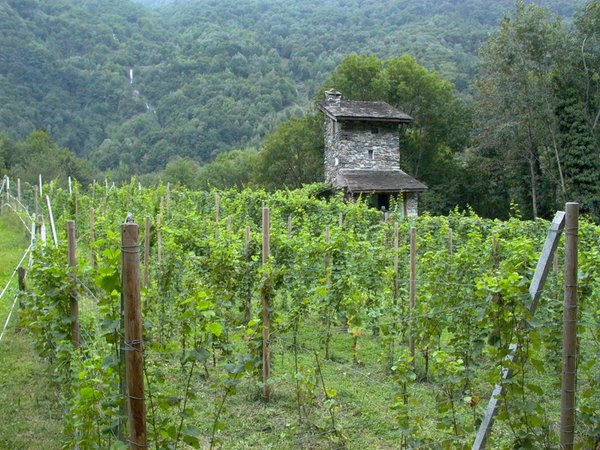 La posizione Appartamenti in agriturismo Torre Scilano Piuro (Valchiavenna)