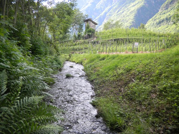 La posizione Appartamenti in agriturismo Torre Scilano Piuro (Valchiavenna)