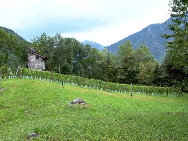 La posizione Appartamenti in agriturismo Torre Scilano Piuro (Valchiavenna)