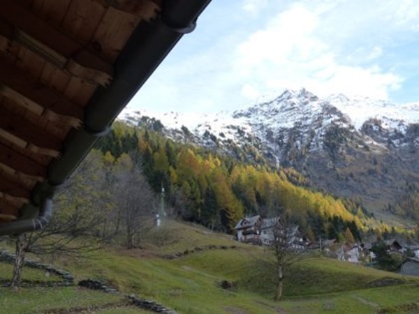 Vista dalla struttura