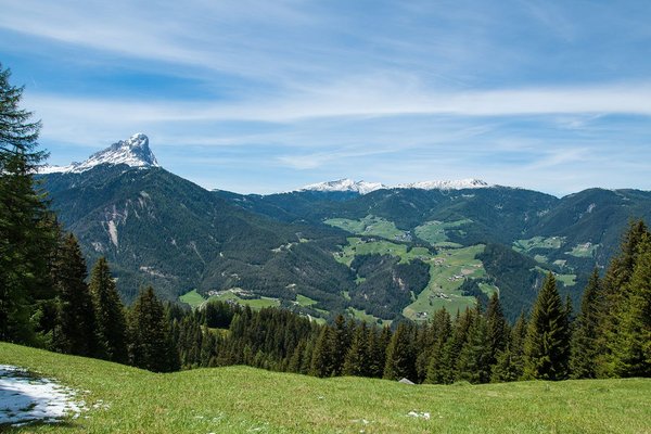 Bildergalerie Sommer