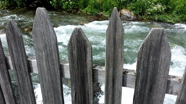 Bildergalerie Sommer
