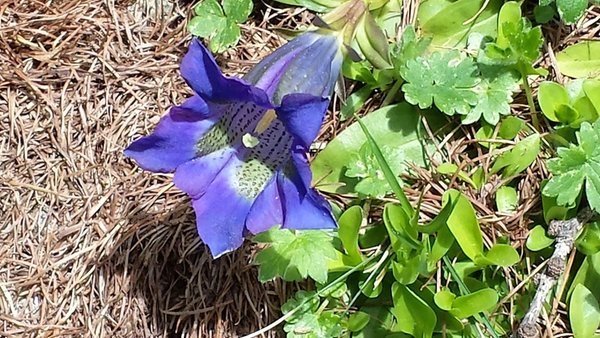Bildergalerie Sommer