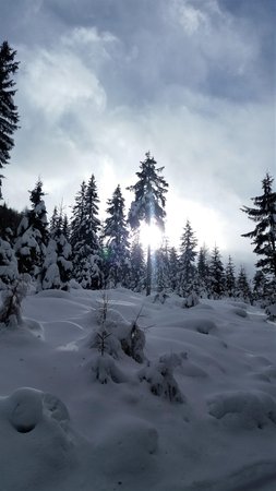 Bildergalerie Winter