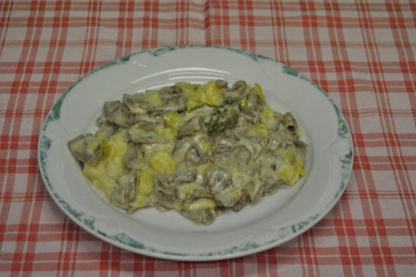Recipes and gourmet-dishes Il Vassallo