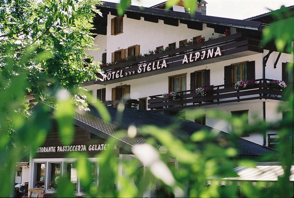Foto esterno in estate Stella Alpina