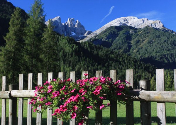 Panorama Falcade