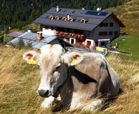 Foto esterno Rifugio Capanna Passo Valles