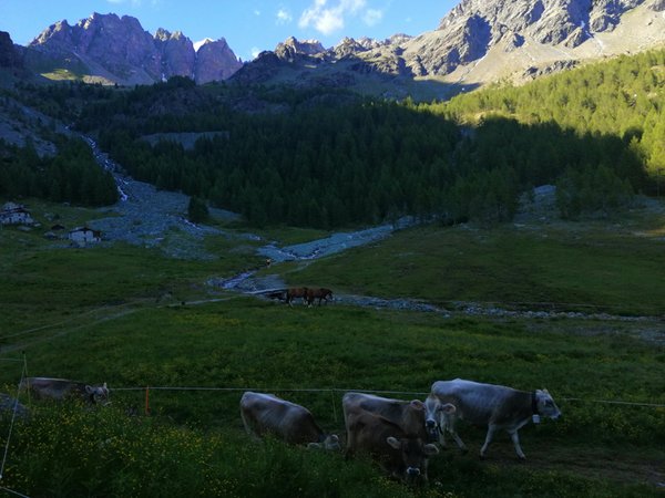 Bildergalerie Sommer