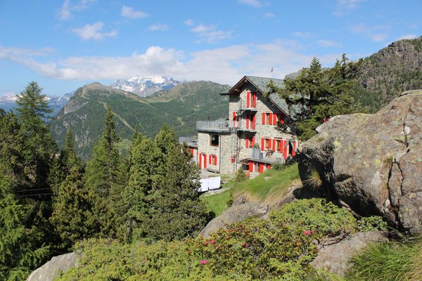 Sommer Präsentationsbild Berghütte mit Zimmern Zoia