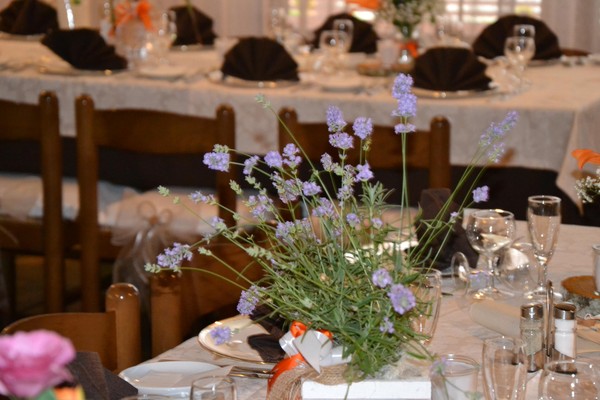 The restaurant Mezzano (Primiero) Salgetti