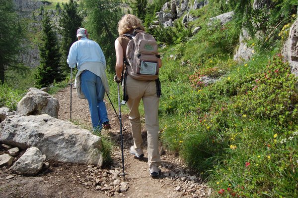 Attività Natur Garnì Alpino