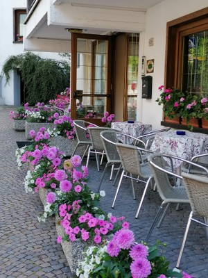 Photo exteriors Hotel Belvedere