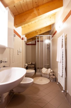 Foto del bagno Hotel Chalet Giasenei