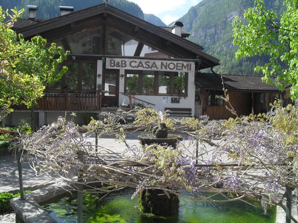 Foto del giardino Imèr (Primiero)