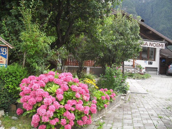 Foto del giardino Imèr (Primiero)