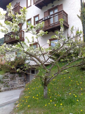 Foto Außenansicht Hotel Cima d'Asta
