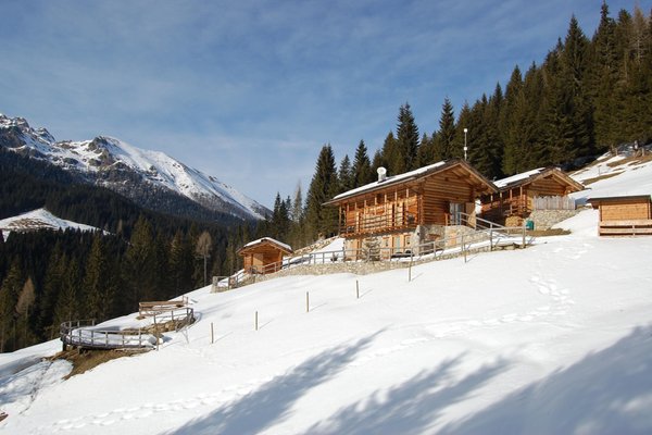 Foto invernale di presentazione Chalet nel Doch Mountain Resort