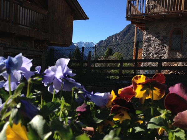 Foto del giardino Canal San Bovo (Valle del Vanoi)