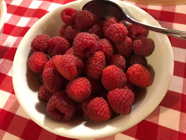 Il cibo