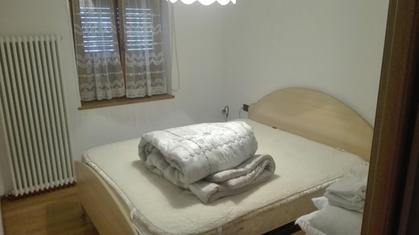 Photo of the room Apartment Zortea Giorgio