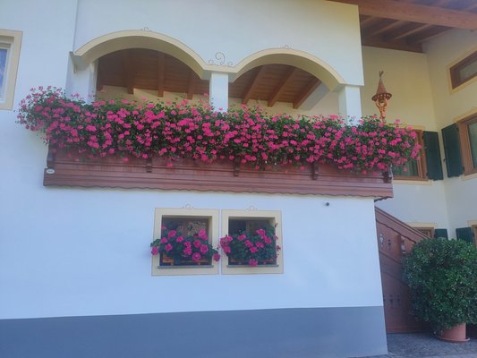 Photo of the balcony Famiglia Trotter