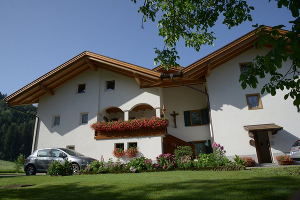 Photo exteriors in summer Famiglia Trotter