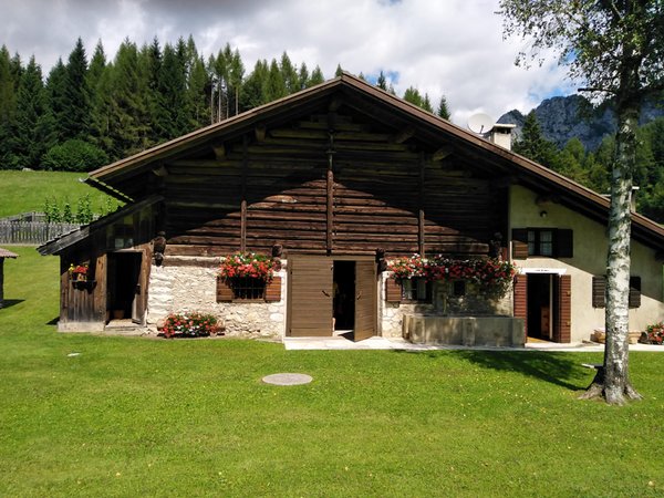 Photo exteriors in summer Famiglia Trotter