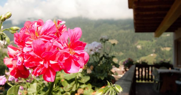 Foto del balcone Simon Cornelia